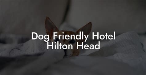 pet friendly hilton hotels|dog friendly hotels hilton head.